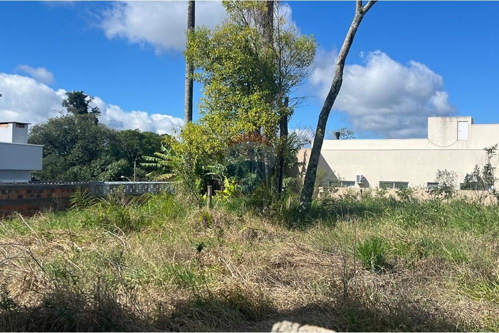 Terreno à venda, 264m² - Foto 14