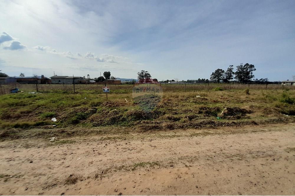 Terreno - Venda - Santa Rosa do Sul , Santa Catarina - 20250726_125936.jpg - 590491005-20