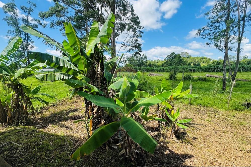 Casa - Venda - Santa Rosa do Sul , Santa Catarina - IMG_1291.jpeg - 590491012-23