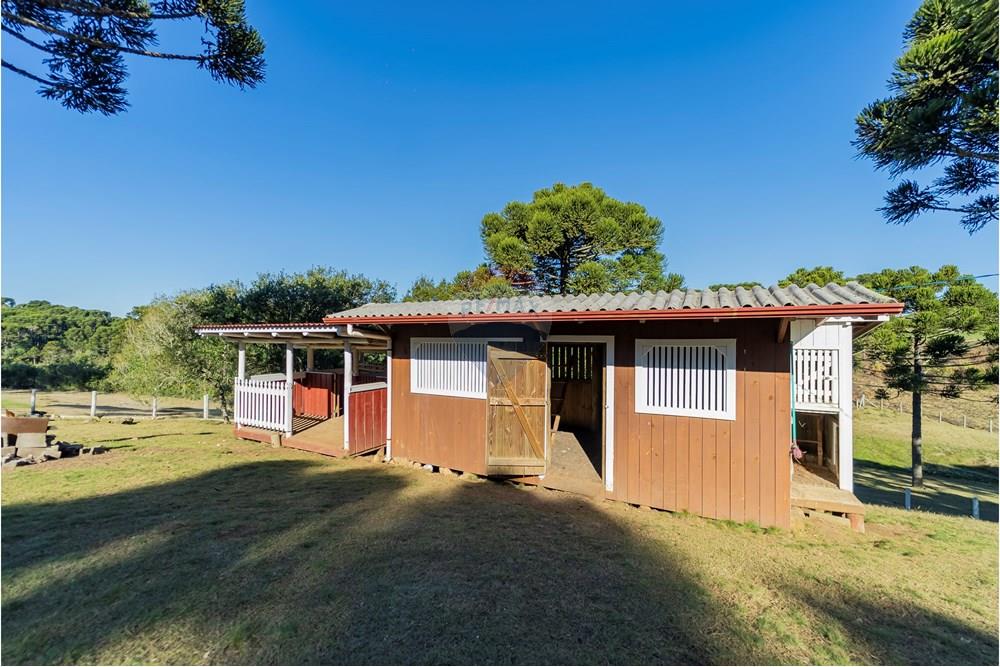 Chácara / Sítio / Fazenda - Venda - Capão Alto , Santa Catarina - DSC03807.jpg - 590071002-440