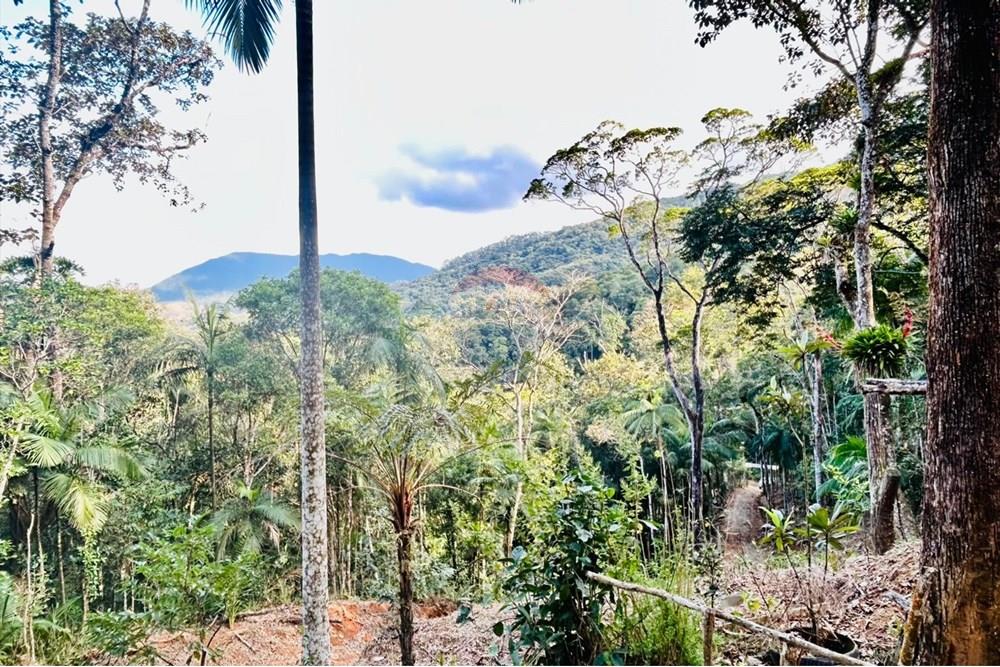 Chácara / Sítio / Fazenda - Venda - Itapema , Santa Catarina - WhatsApp Image 2025-07-14 at 16.25.22 (1).jpeg - 590401053-3