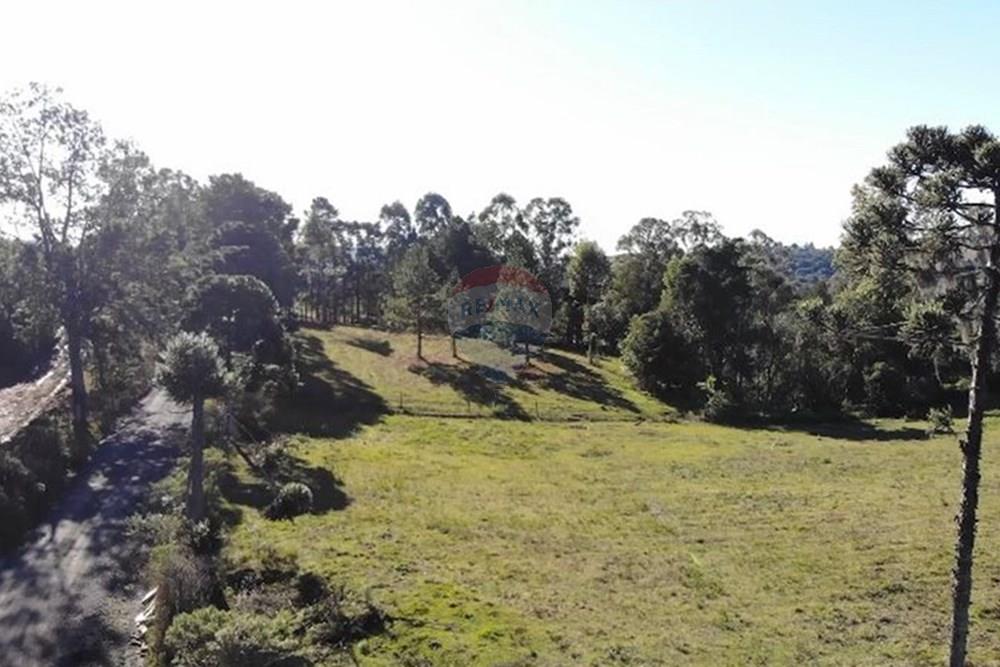 Terreno - Venda - Lages , Santa Catarina - 53731ff0-2819-4ff1-b3a6-5b2e79e9c77b.jpg - 590071041-10