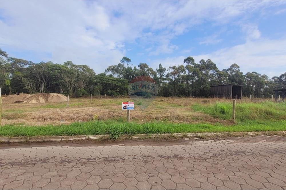 Terreno - Venda - Balneário Gaivota , Santa Catarina - 20250411_085150.jpg - 590491002-30
