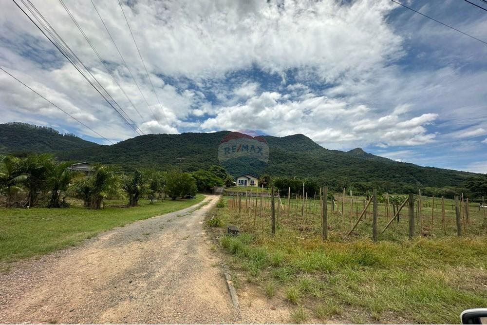 Terreno - Venda - Indaial , Santa Catarina - 1cecb3b4-ed13-46e4-b35c-5dadd24e6ef6.jpeg - 590301007-66