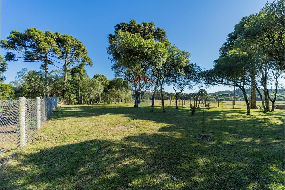 Chácara / Sítio / Fazenda - Venda - Capão Alto , Santa Catarina - DSC03795.jpg - 590071002-440