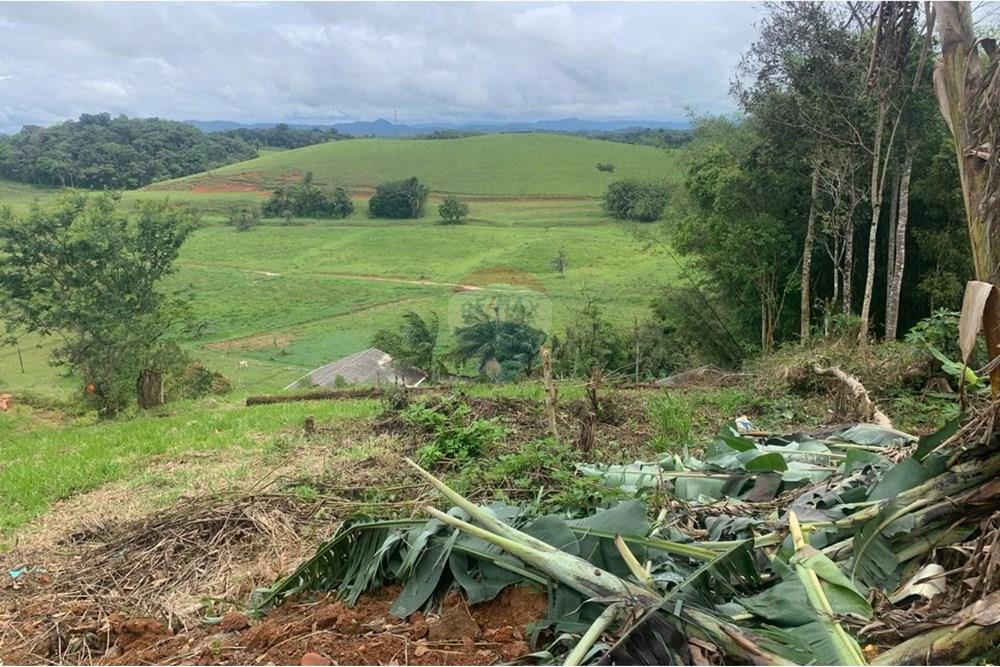 Terreno - Venda - Itajaí , Santa Catarina - WhatsApp Image 2025-11-02 at 11.44.21 AM.jpeg - 590531040-1