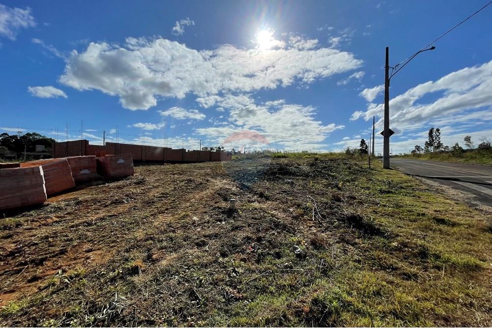 Terreno - Venda - Criciúma , Santa Catarina - IMG_6507.JPG - 590311026-27