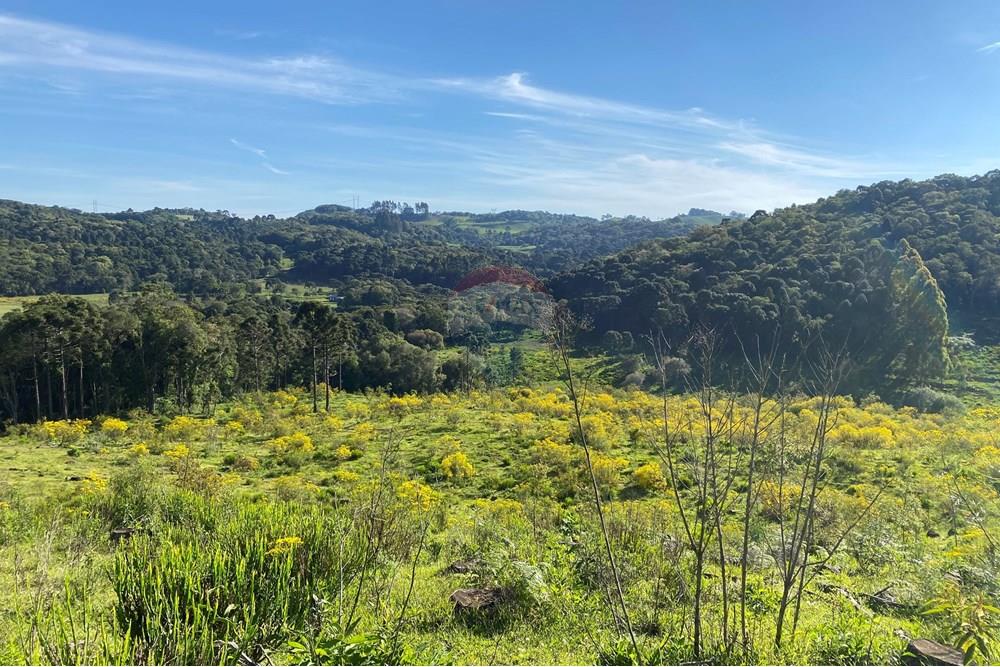 Chácara / Sítio / Fazenda - Venda - São José do Cerrito , Santa Catarina - IMG_7945.JPG - 590071044-13