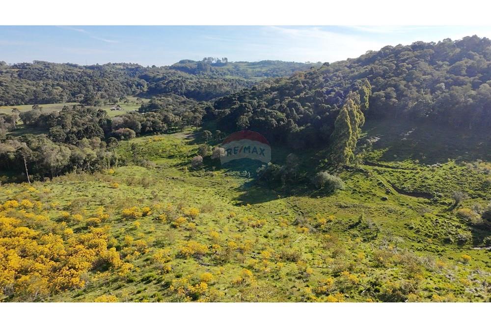 Chácara / Sítio / Fazenda - Venda - São José do Cerrito , Santa Catarina - DJI_20251111164142_0020_D.JPG - 590071044-13