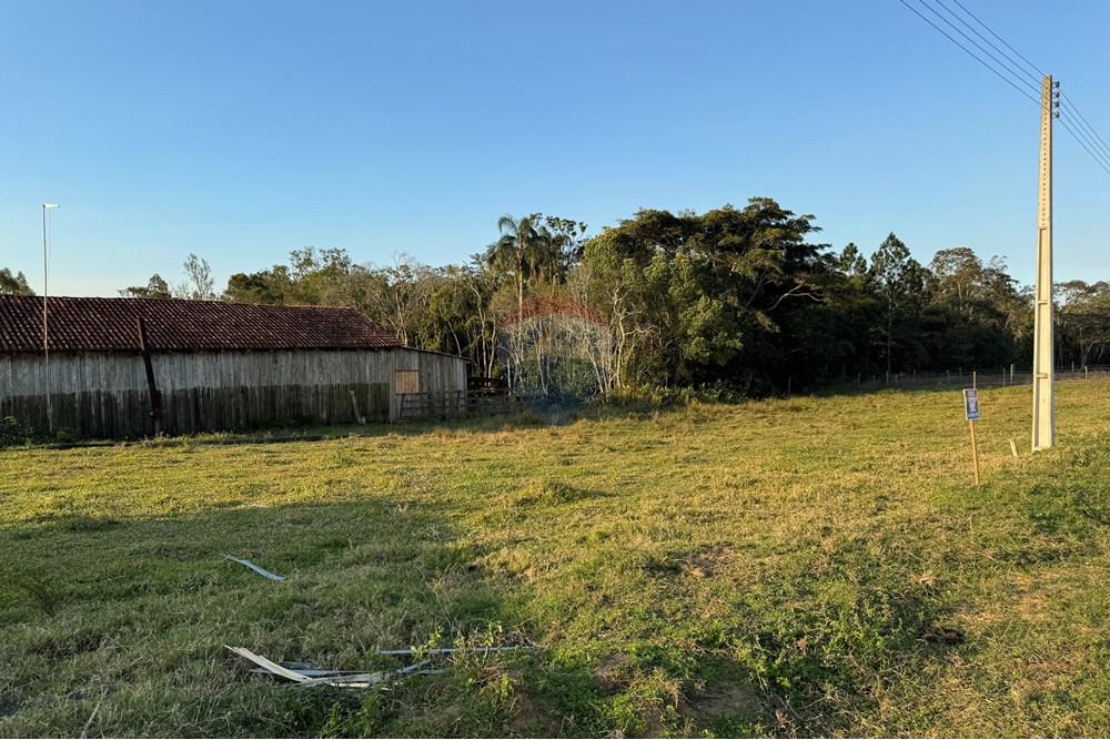 Terreno - Venda - São João do Sul , Santa Catarina - IMG_7387.jpg - 590491012-3