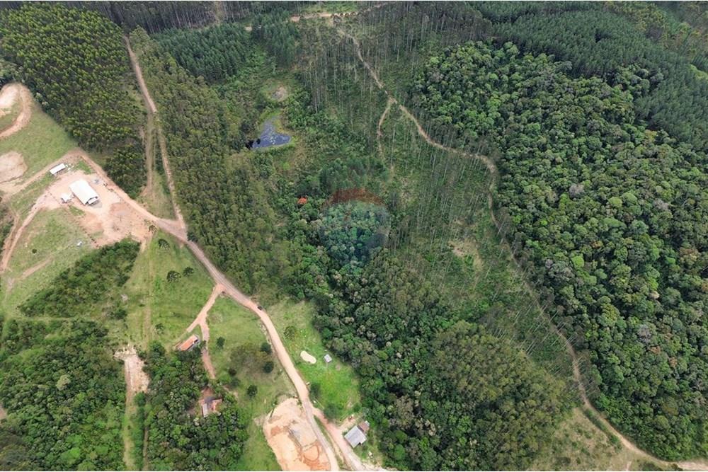 Terreno - Venda - Rio dos Cedros , Santa Catarina - IMG-20251017-WA0043.jpg - 590211067-4