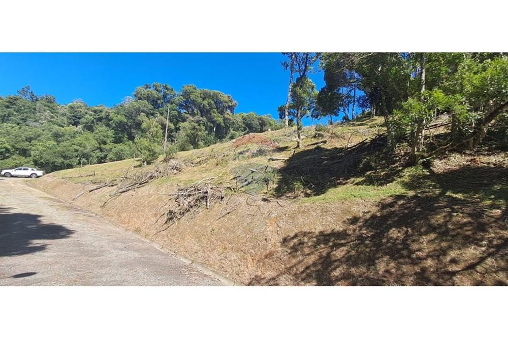 Terreno - Venda - Rancho Queimado , Santa Catarina - WhatsApp Image 2026-01-21 at 18.15.10 (1).jpeg - 590471023-34
