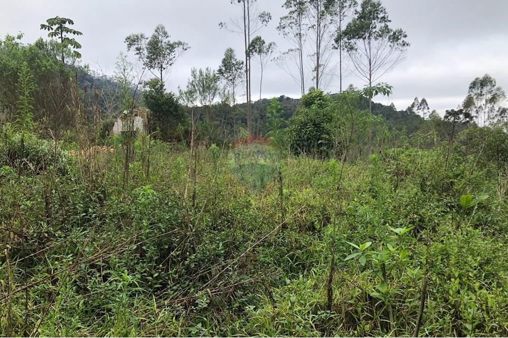 Residential - 땅 - Rodeio , Santa Catarina - BR - FOTO 12 - .JPG - 590211051-43