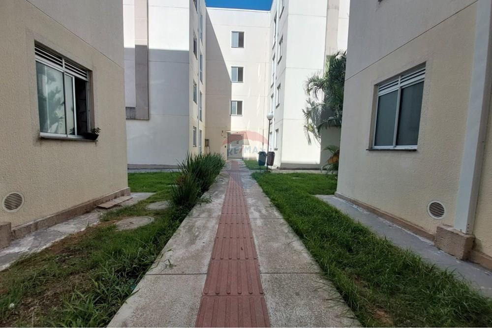 Apartamento - Venda - Palhoça , Santa Catarina - WhatsApp Image 2026-03-30 at 10.42.31.jpeg - 590471034-9