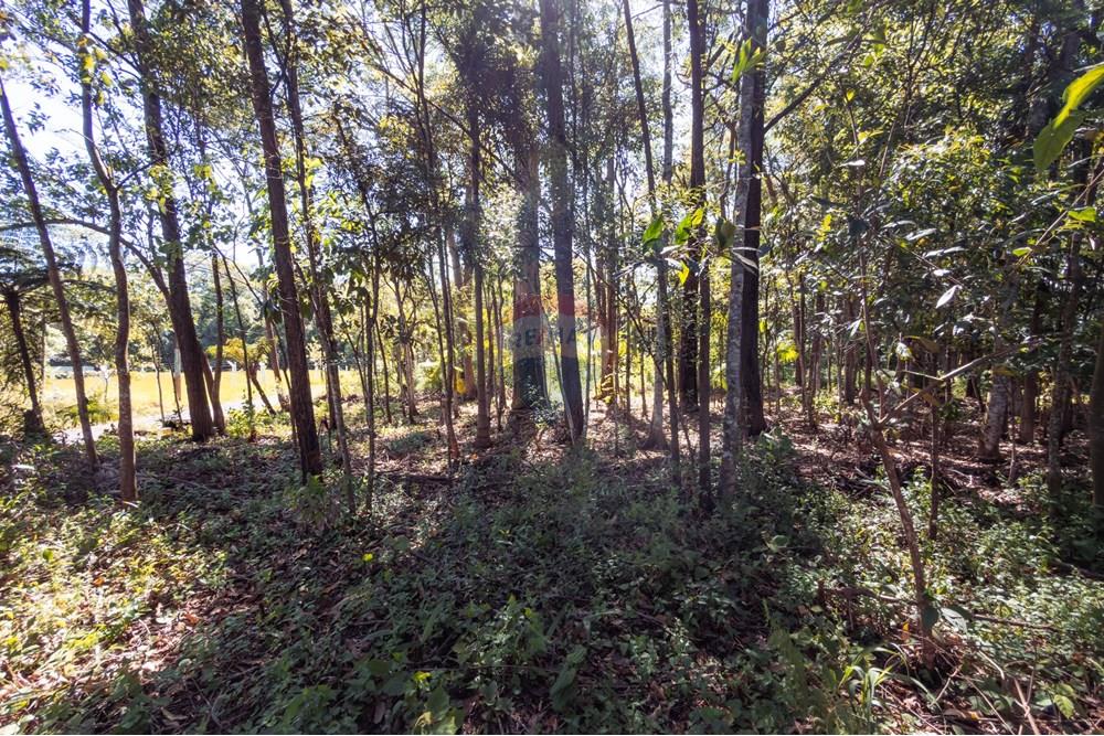 Terreno - Venda - Criciúma , Santa Catarina - IMG_6925.jpg - 590311026-43