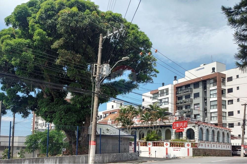 Terreno - Venda - São José , Santa Catarina - .trashed-1744131444-IMG_20250309_133712991_HDR.jpg - 590471023-7