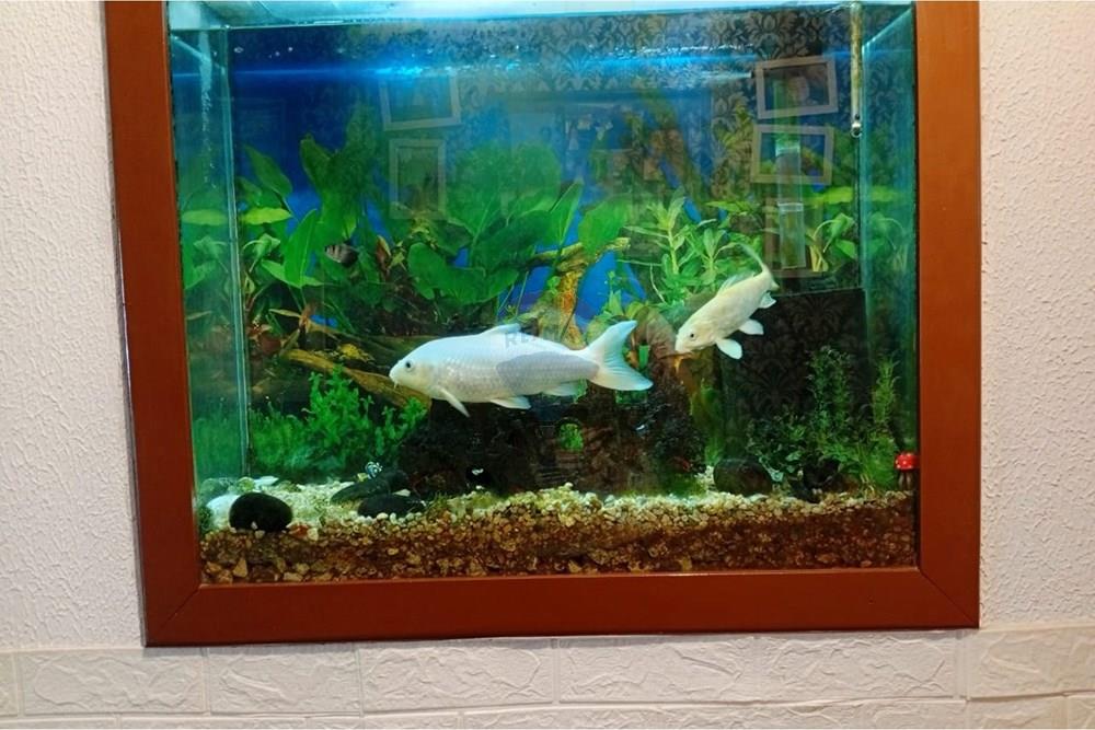 Casa - Venda - Navegantes , Santa Catarina - aquario corredor - suite.jpeg - 590091056-1