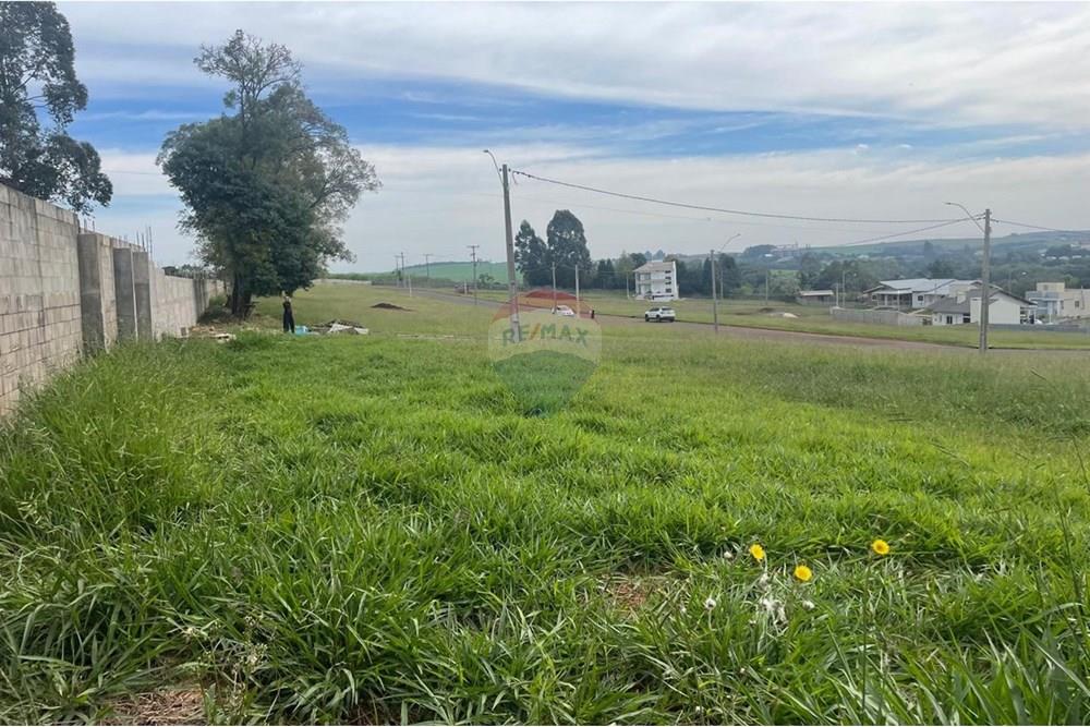 Terreno à venda, 360m² - Foto 4