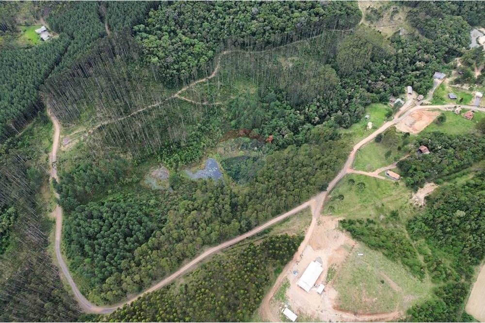 Terreno - Venda - Rio dos Cedros , Santa Catarina - IMG-20251017-WA0044.jpg - 590211067-4