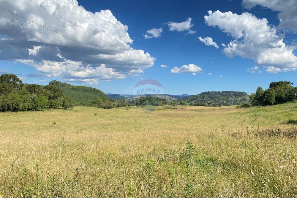 Chácara / Sítio / Fazenda - Venda - Painel , Santa Catarina - IMG_8290.JPG - 590071044-22