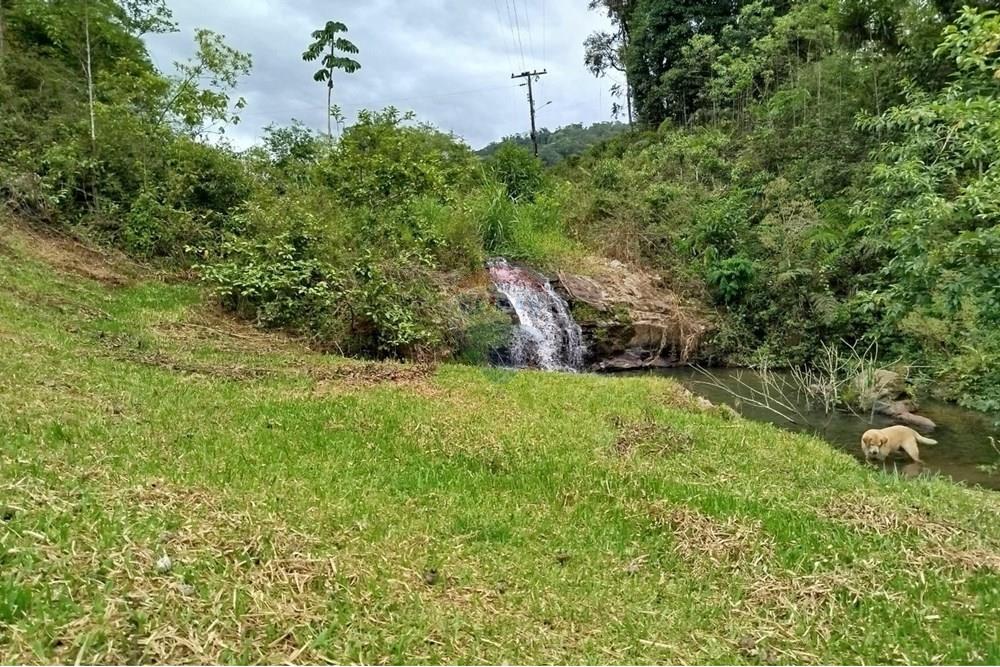 Chácara / Sítio / Fazenda - Venda - Pomerode , Santa Catarina - WhatsApp Image 2026-01-06 at 16.39.15 (3).jpeg - 590301027-111