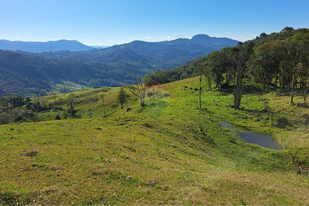 Terreno - Venda - Indaial , Santa Catarina - WhatsApp Image 2026-02-26 at 10.06.28.jpeg - 590301027-114