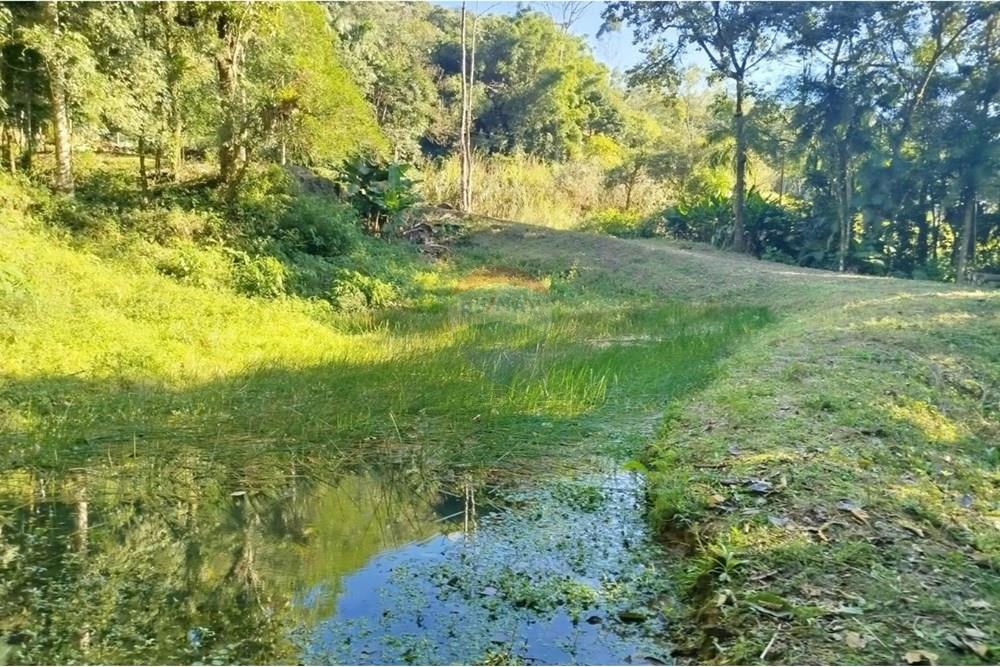 Terreno - Venda - Benedito Novo , Santa Catarina - WhatsApp Image 2025-09-09 at 17.07.54 (1).jpeg - 590301027-106