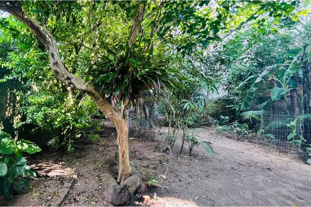 Terreno - Venda - Navegantes , Santa Catarina - TERRENO14.jpg - 590091044-43