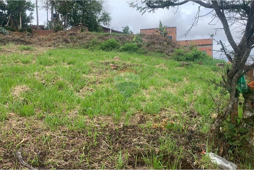 Terreno - Venda - Itajaí , Santa Catarina - WhatsApp Image 2025-11-02 at 11.42.58 AM (2).jpeg - 590531040-1