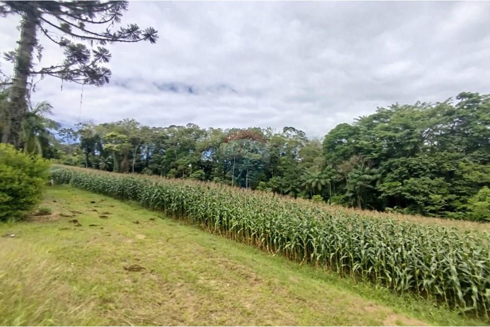 Chácara / Sítio / Fazenda - Venda - Pomerode , Santa Catarina - WhatsApp Image 2026-01-06 at 16.39.10 (1).jpeg - 590301027-111