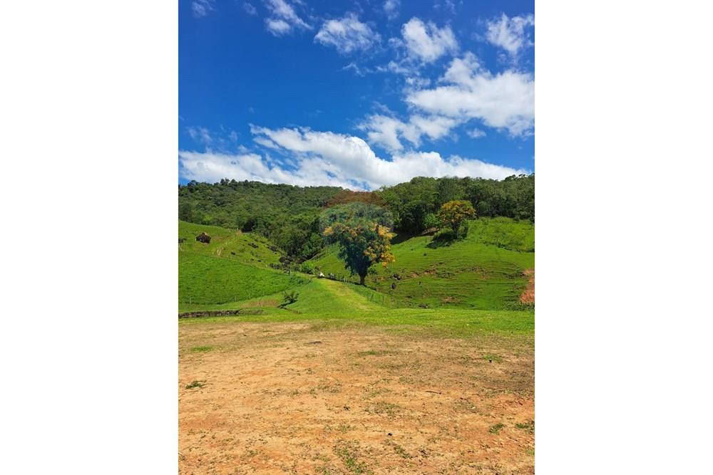 Terreno - Venda - Indaial , Santa Catarina - WhatsApp Image 2026-02-26 at 10.06.47.jpeg - 590301027-114