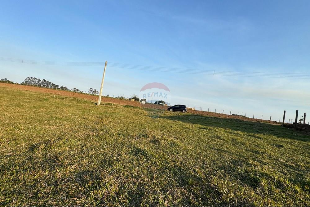 Terreno - Venda - São João do Sul , Santa Catarina - IMG_7399.jpg - 590491012-3