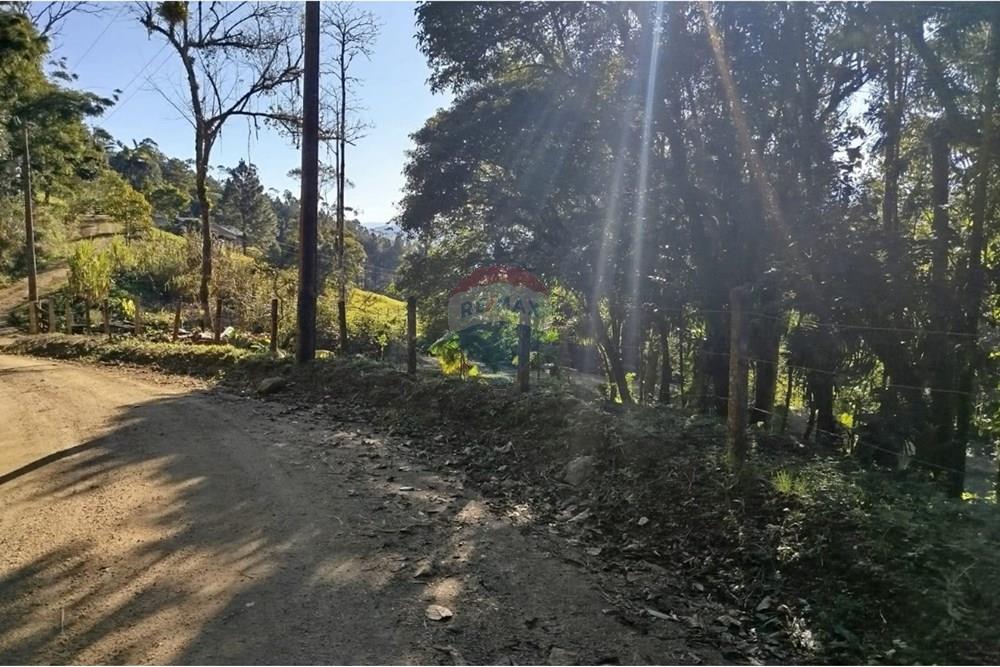 Terreno - Venda - Benedito Novo , Santa Catarina - WhatsApp Image 2025-09-10 at 08.40.22 (1).jpeg - 590301027-106