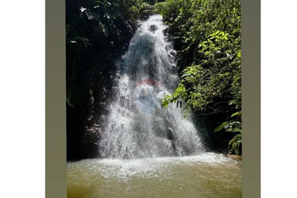 Chácara / Sítio / Fazenda - Venda - São Martinho , Santa Catarina - Imagem do WhatsApp de 2025-08-05 à(s) 12.20.49_19c3bdf1.jpg - 590461004-22