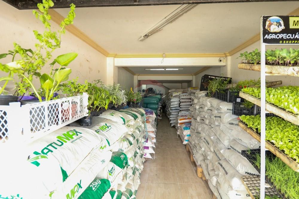 Ponto Comercial - Venda - Lages , Santa Catarina - IMG_3722.jpg - 590071044-23