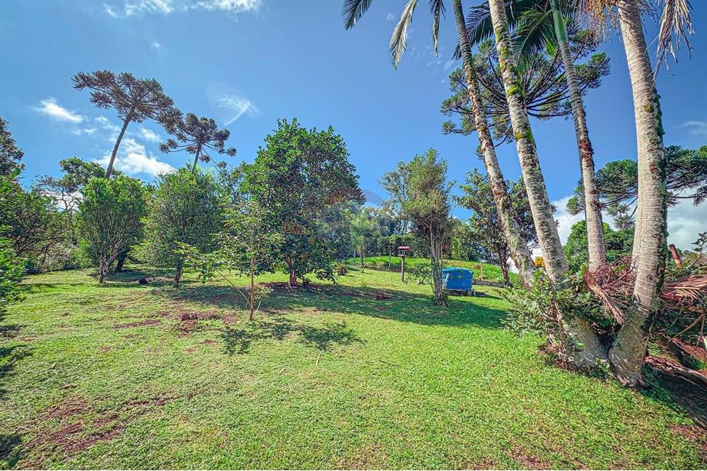 Casa - Venda - Rio dos Cedros , Santa Catarina - c77b45dc-ae18-44e9-8e23-f2b532cc36a6.jpeg - 590211035-42