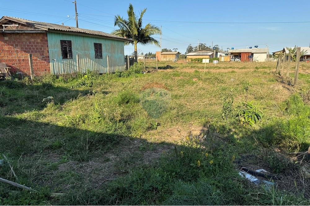 Terreno - Venda - Santa Rosa do Sul , Santa Catarina - IMG_7351.jpg - 590491012-2