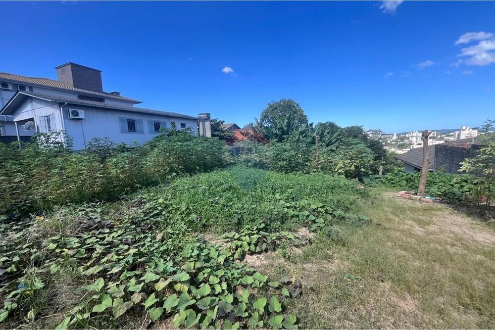 Terreno - Venda - Criciúma , Santa Catarina - WhatsApp Image 2026-04-09 at 14.23.31.jpeg - 590311040-4