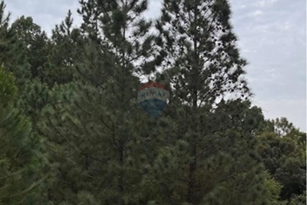 Apartamento - Venda - Itajaí , Santa Catarina - 2663CED1-A19C-463D-9526-C78D5F576578.JPG - 590231010-147