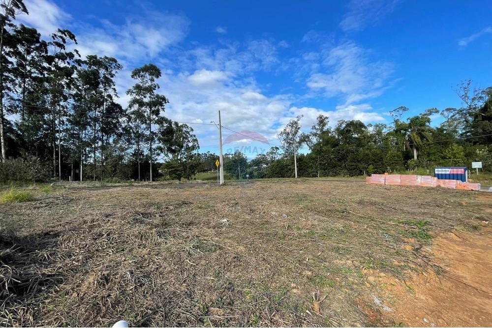 Terreno - Venda - Criciúma , Santa Catarina - IMG_6515.JPG - 590311026-27