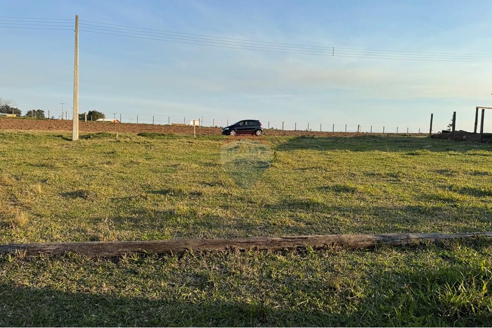 Terreno - Venda - São João do Sul , Santa Catarina - IMG_7396.jpg - 590491012-3