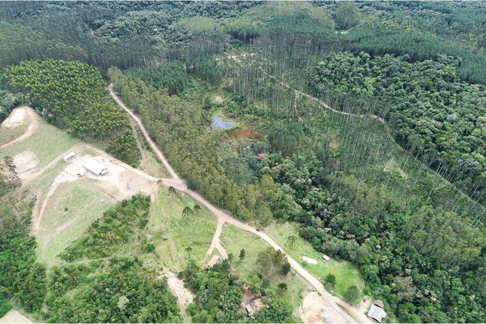 Terreno - Venda - Rio dos Cedros , Santa Catarina - IMG-20251017-WA0045.jpg - 590211067-4