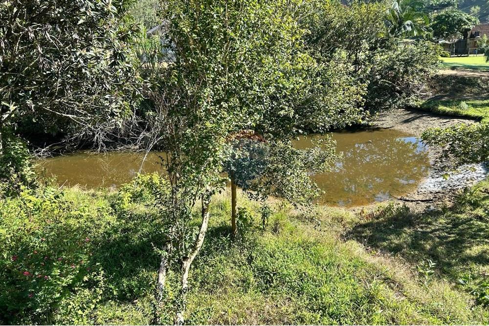 Terreno - Venda - Rio dos Cedros , Santa Catarina - 43cbb2bc-e3ab-4407-abff-fca32083c7cb.jpeg - 590211035-54