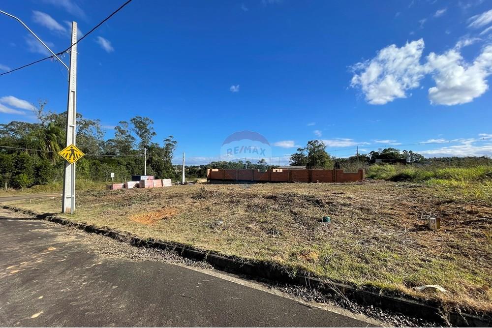 Terreno - Venda - Criciúma , Santa Catarina - IMG_6524.JPG - 590311026-27