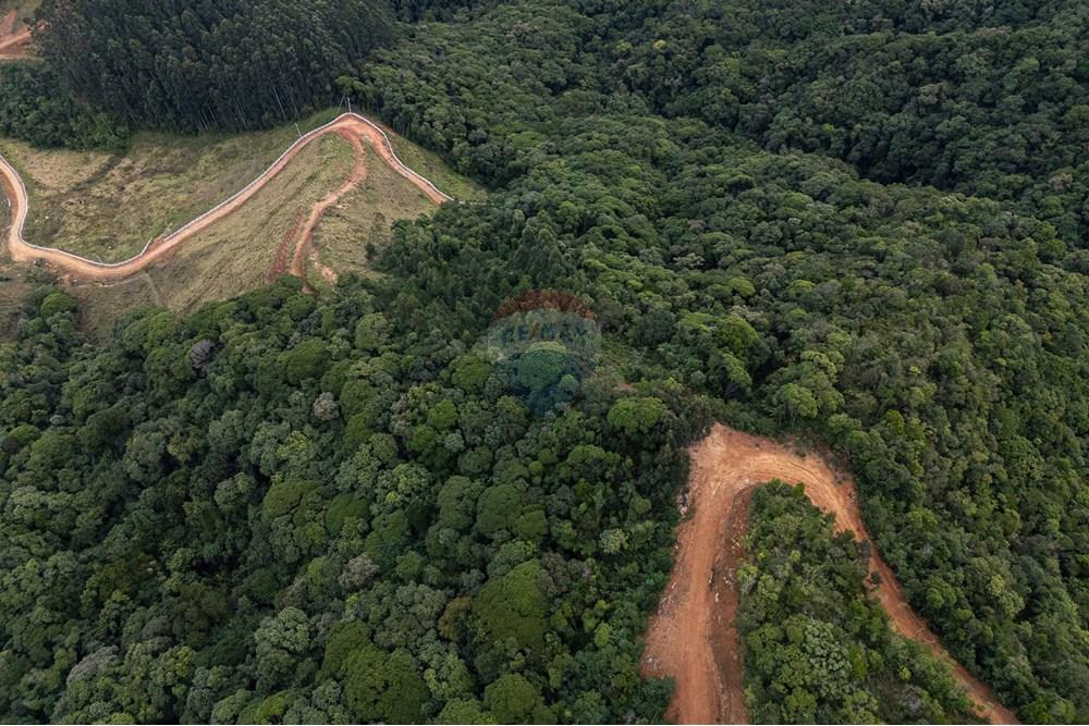 Chácara / Sítio / Fazenda - Venda - São Martinho , Santa Catarina - DJI_20250711082635_0727_D_DJI4.jpg - 590461004-22