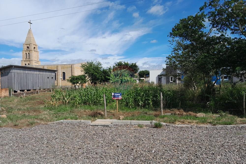 Terreno - Venda - Santa Rosa do Sul , Santa Catarina - 20260225_094812.jpg - 590491005-39