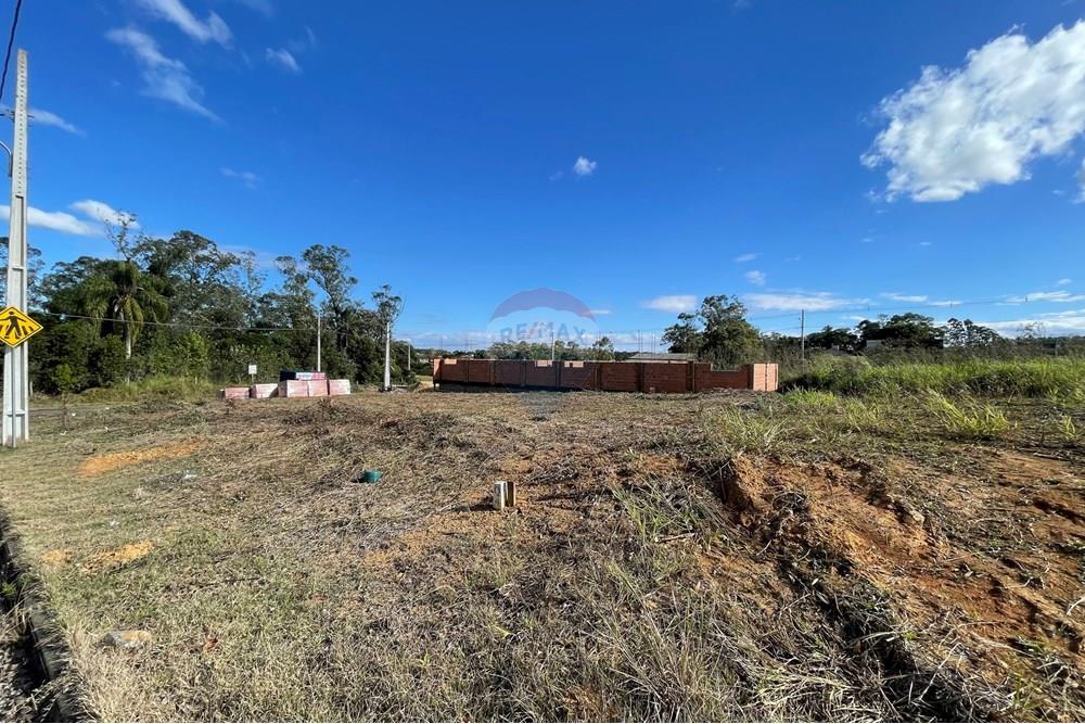 Terreno - Venda - Criciúma , Santa Catarina - IMG_6519.JPG - 590311026-27