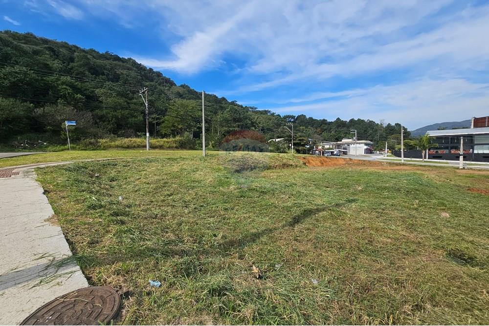 Terreno - Venda - Balneário Camboriú , Santa Catarina - 1000501816.jpg - 590231111-60