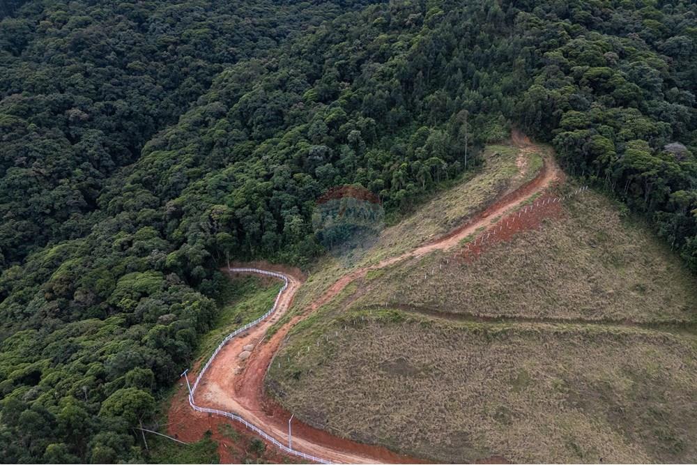 Chácara / Sítio / Fazenda - Venda - São Martinho , Santa Catarina - DJI_20250711082435_0723_D_DJI4.jpg - 590461004-22