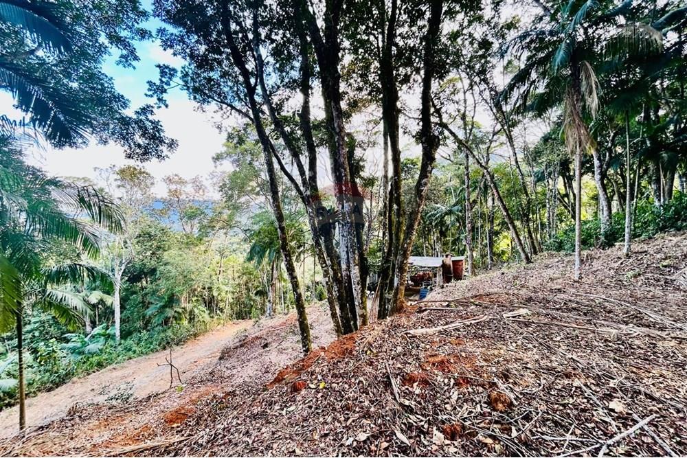 Chácara / Sítio / Fazenda - Venda - Itapema , Santa Catarina - WhatsApp Image 2025-07-14 at 16.25.24 (1).jpeg - 590401053-3